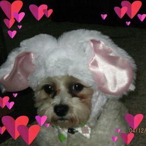 Meet your Posher, Cindy